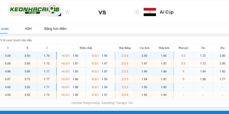 Phân tích sâu tỷ lệ kèo New Zealand vs Ai Cập