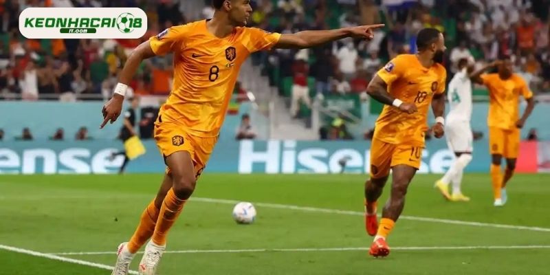 Đánh giá tổng quan phong độ Tunisia vs Hà Lan